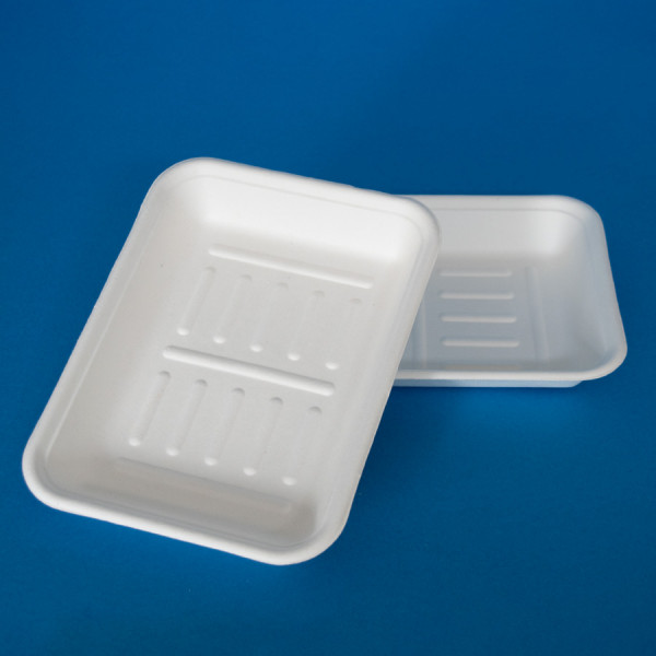 Bagasse Chip tray from stock